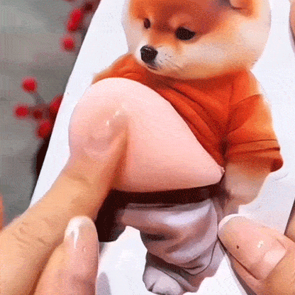 🔥Factory Direct Sales🔥 3D-söt Shiba Inu självhäftande dörrstopp & stressboll