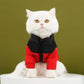 🔥49% OFF Christmas Sale🔥Warm Jacket with Zipper for Dogs & Cats