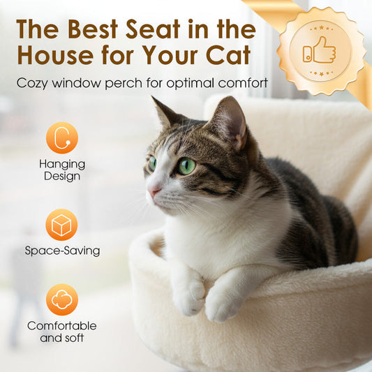 Bekväm och varm hängande katthängmatta under vintern